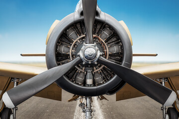 radial engine of an historical aircraft