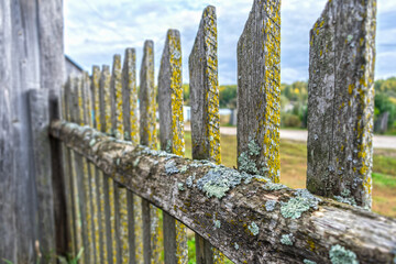 Old and rotten wood fence, overgrown with moss and mold, crooked and rickety from time
