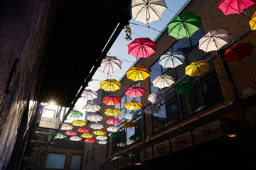 A row of umbrellas suspended in a street in Dublin, Ireland