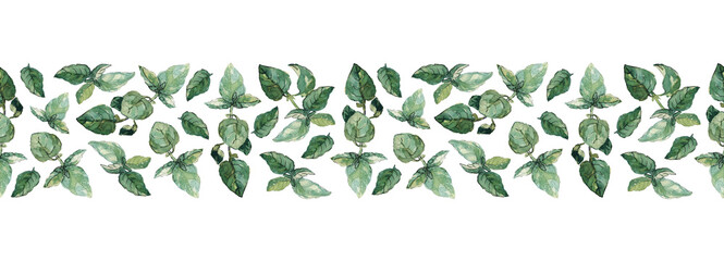 Seamless border of green basil twigs and leaves, isolated on white. Watercolor illustration. For cookbook, recipes, menu, duct tape, ribbon and packaging design.