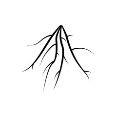 Roots black icon. Tree roots vector illustration. Isolated on white.