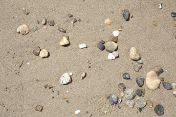 Fototapeta na wymiar 浜辺の小石
