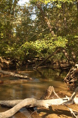 Difficult creek