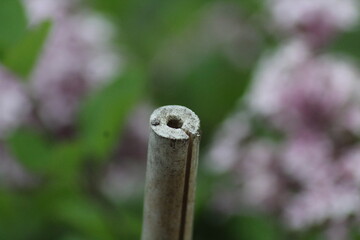 Macro © kaeolek20