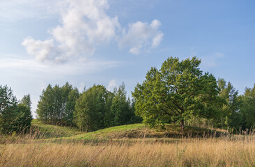 Obraz premiumLandscape with the hills, fields, forests and oak on the hill on sunny August afternoon 