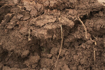 freshly plowed soil in the field