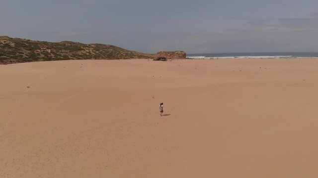Female Tourist With A Guitar On Her Back Walking Alone On The Fine Sand Dune At The Beach In Algarve, Portugal On A Sunny Summer Day - aerial drone