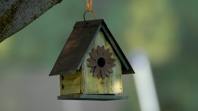 A bird house hanging from a tree barely moving in a slight breeze in the summer time.