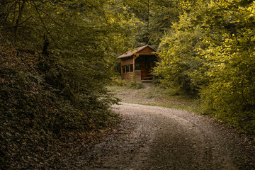 A small hut in the forest. In autumn.