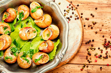 Bourgogne escargot snails