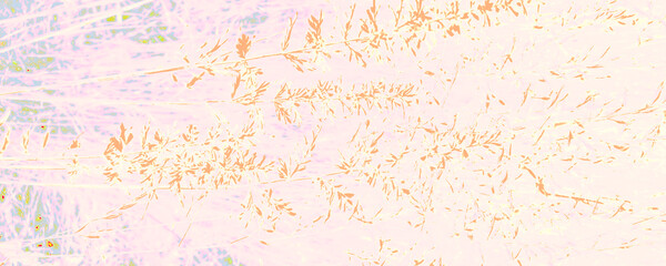 Pink Tropical Photography. Blue Environment Wallpaper. Orange Woman Design. White Artistic Texture. Bright Amazing Wallpaper. Pastel Fantasy Banner. Orange Abstract Backdrop.