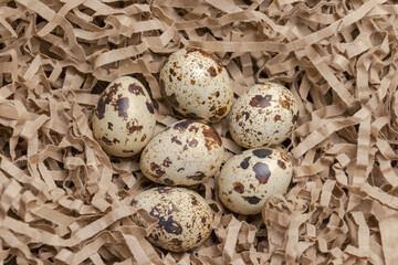 quail eggs in a basket. close-up. view from above