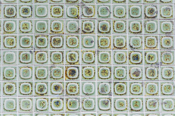 Carreaux carrelage au sol avec motif vert - Arrière plan matière