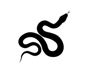 snake vector silhouette with black and white color