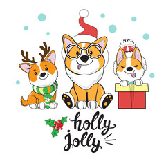 Christmas card with funny new year dogs corgi and the inscription holly jolly on a white background. Vector cartoon illustration