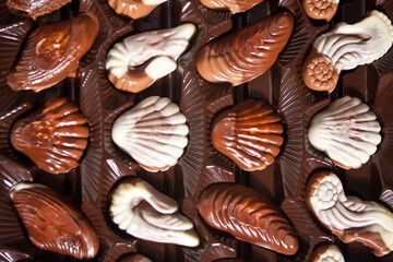 Row of variety chocolate pralines. Top view.