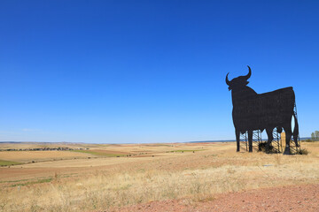 toro negro en el campo españa 4M0A2801-as20