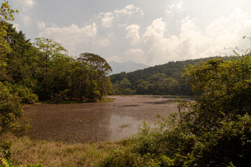 view of famous Pookode Lake  in Wayanad ,Kerala.