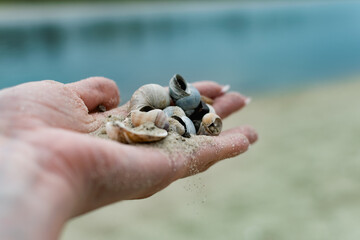 River shells and fine white river sand fall from a woman's hand in nature