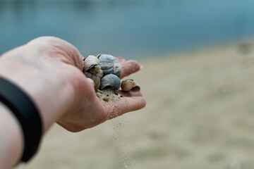 River shells and fine white river sand fall from a woman's hand in nature