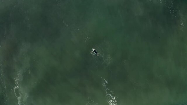 Lone surfer paddling out in to the waves of the ocean at Zumbujeira, Portugal