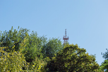 tower in the park