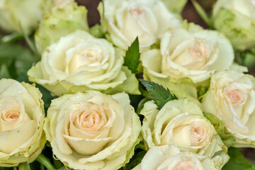A bouquet of white roses