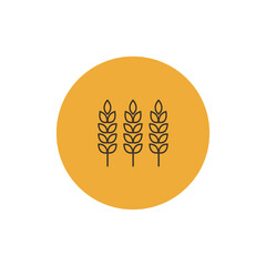  Wheat logo design. Oat symbol vector.