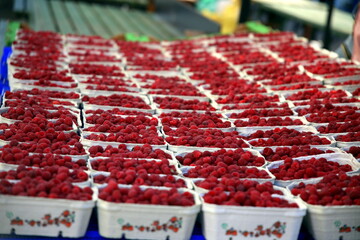 Raspberries trays on a bench at the market