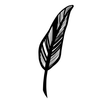 Writing Quill Feather Pen. quill pen. Vector icon. For cards, posters, coloring book, decor, t shirt design, logo tattoo illustration.
