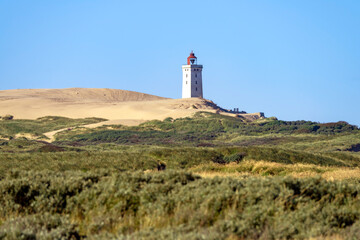Fototapeta na wymiar The landscape and lighthouse of Rubjerg Knude in Denmark on the north sea coast