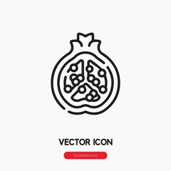 pomegranate icon vector sign symbol