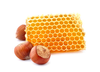 Honeycomb with  hazelnuts  on white background closeup. Honey with nuts.