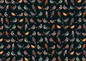 Background drawing for design. An image of magic birds.