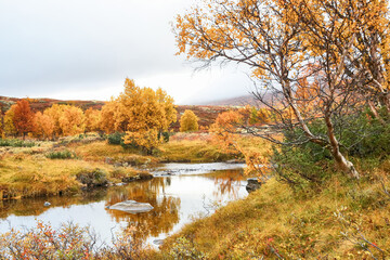 Fall in Norway