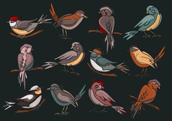Background drawing for design. An image of magic birds.