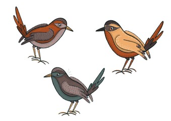 Background drawing for design. An image of magic birds.