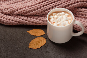 Hot chocolate cocoa with marshmallows in knitted pleids, autumn background, close up, fall concept
