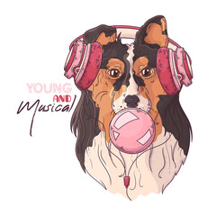 Hand drawn portrait of collie dog in accessories Vector.