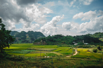 Fototapeta premium Green rice fields and hills, view from Ban Ang lake, Moc Chau, Vietnam.