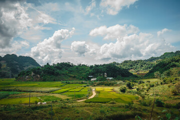 Fototapeta premium Green rice fields and hills, view from Ban Ang lake, Moc Chau, Vietnam.