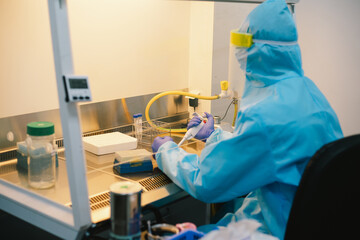 A scientist in PPE safty uniform pipetting sample experiment in biological safety cabinet (BSC).