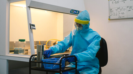 A scientist in PPE safty uniform pipetting sample experiment in biological safety cabinet (BSC).