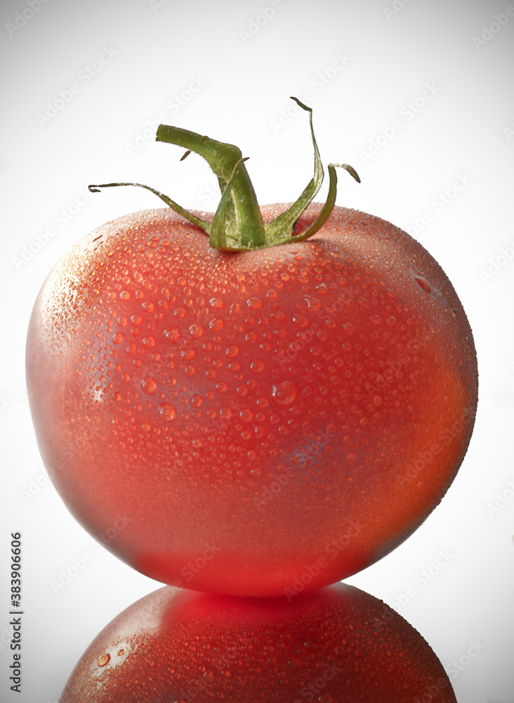 Wall mural closeup of a wet tomato