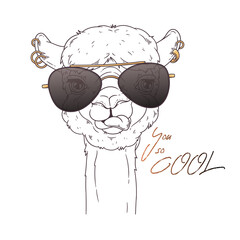 Hand drawn portrait of cute alpaca Vector.