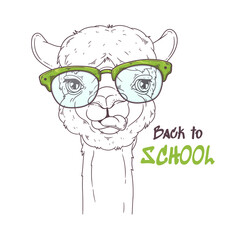 Hand drawn portrait of cute alpaca Vector.