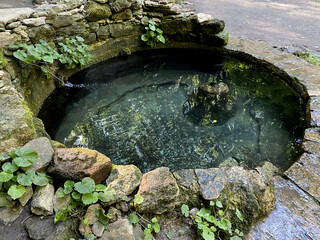 forest nature reservoir river