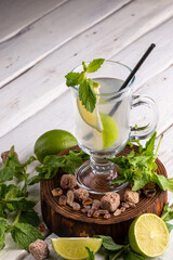 mojito non-alcoholic with mint