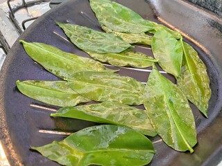 Pereskia aculeata, "ora pro nobis" unconventional brazilian food plant grilled