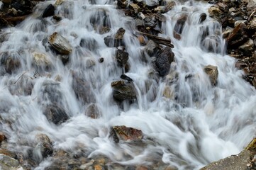 pure water of a mountain stream